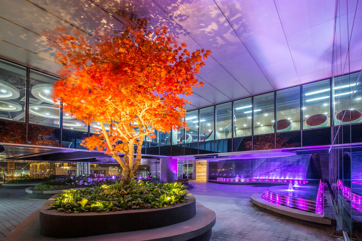 SCAPE-scape orange tree is one of the center of attraction inside the Scape Building